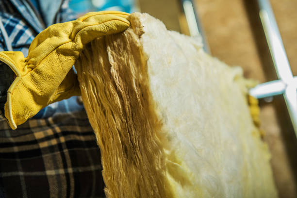 Best Residential Insulation in Otsego, MN