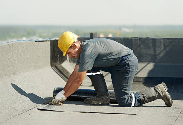 Best Insulation Installation Services in Otsego, MN